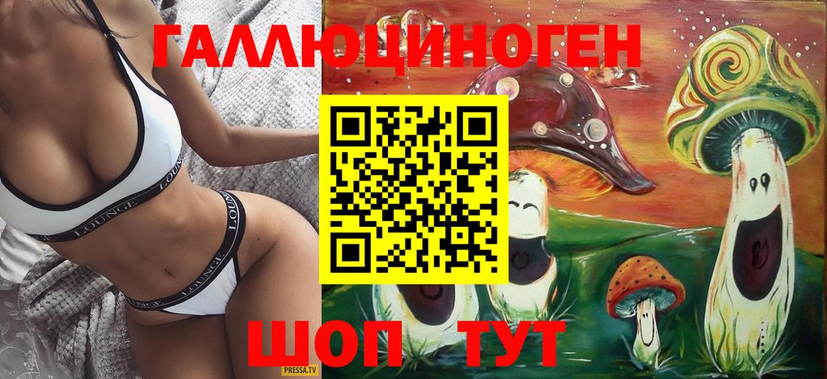 Куйбышев  Псилоцибиновые грибы прущие грибы  Вход с VPN 